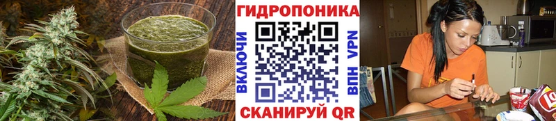 ссылка на мегу зеркало  Электросталь  Cannafood конопля 