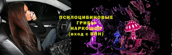 трава Бородино