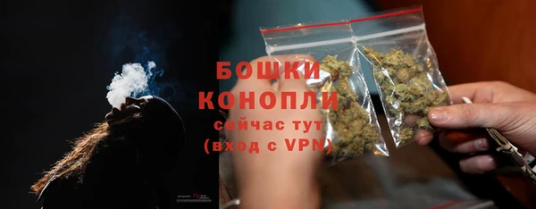 трава Бородино