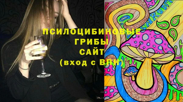 трава Бородино