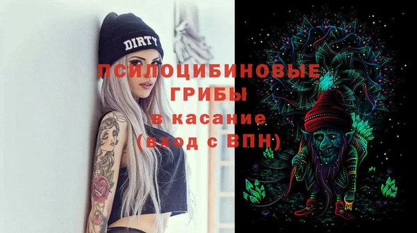трава Бородино