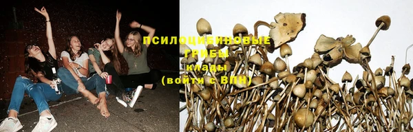 2c-b Бугульма