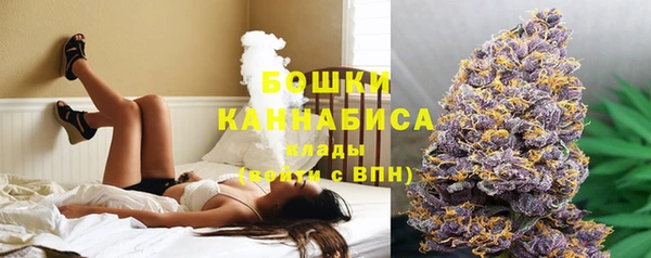 гидра Верхний Тагил