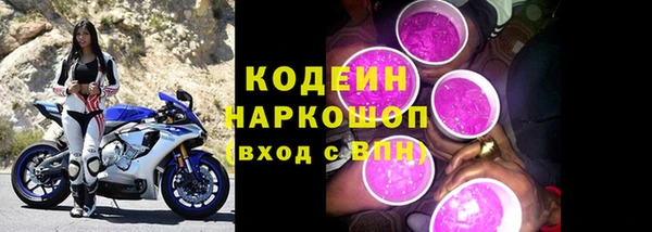 трава Бородино