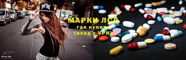 трава Бородино