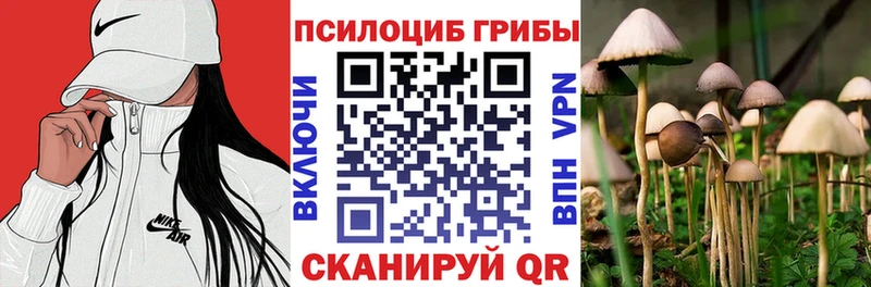 как найти закладки  Электросталь  кракен вход  Псилоцибиновые грибы MAGIC MUSHROOMS 